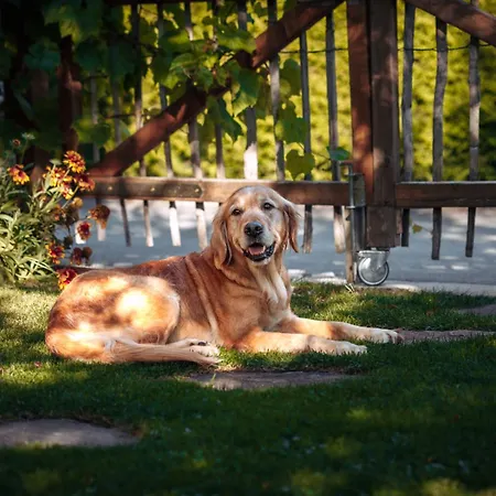 منزل للإقامة Haus Waberl باد ميترندورف