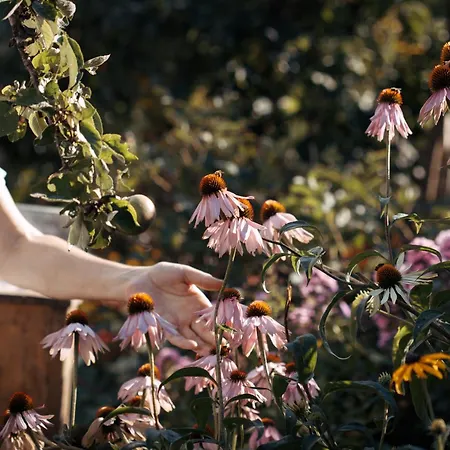 Haus Waberl Homestay *