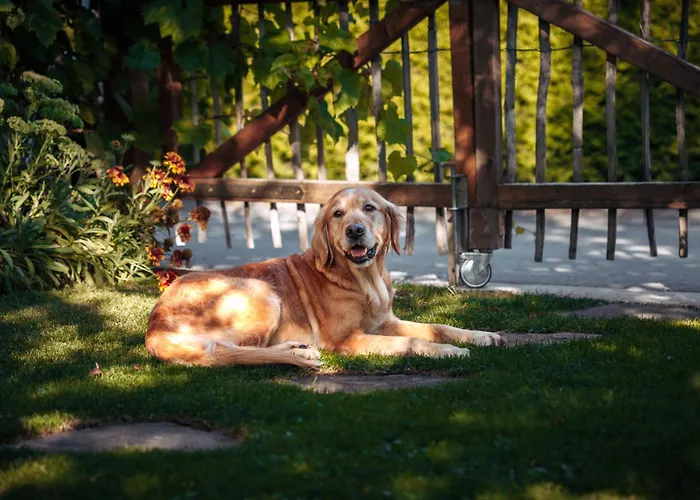 Habitación en casa particular Haus Waberl Bad Mitterndorf