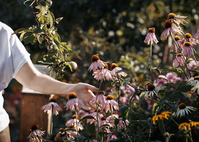 Haus Waberl Habitación en casa particular *